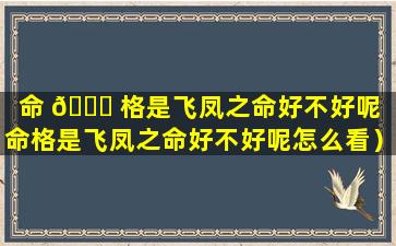 命 🐅 格是飞凤之命好不好呢（命格是飞凤之命好不好呢怎么看）